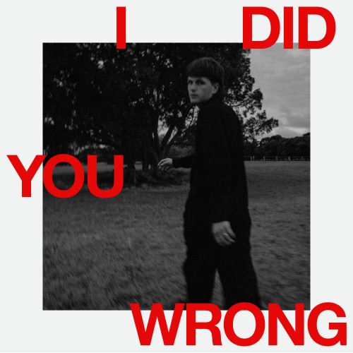I Did You Wrong - 